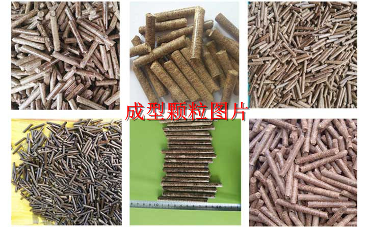 成型顆粒機圖片 成型顆粒機圖片