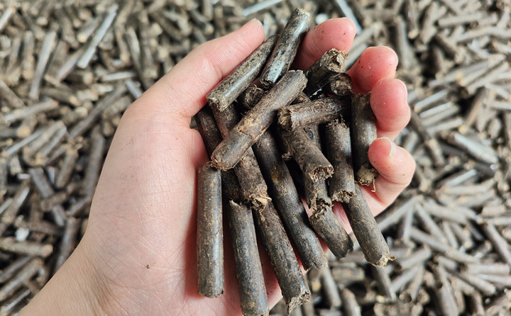 木屑顆粒機(jī)生物質(zhì)顆粒助力綠色農(nóng)業(yè)高質(zhì)量發(fā)展 木屑顆粒機(jī)生物質(zhì)顆粒助力綠色農(nóng)業(yè)高質(zhì)量發(fā)展