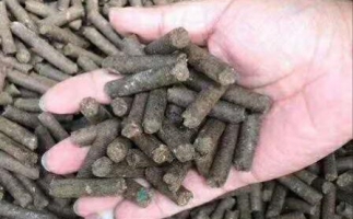 水果渣越來越受歡迎，因為它的出現(xiàn)—生物質(zhì)顆粒機設備