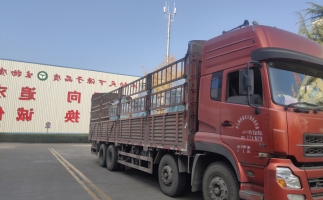 忙碌的五月，忙碌的發(fā)貨，金格瑞顆粒機(jī)生產(chǎn)線發(fā)往全國各地