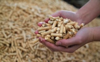 黟縣洪星鄉(xiāng)：“鋸末顆粒機(jī)的小顆?！睋Q來(lái)綠富雙贏