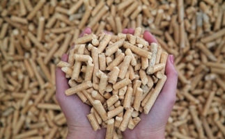 夏季儲(chǔ)存鋸末顆粒機(jī)生物質(zhì)顆粒的方法，要認(rèn)真看喲