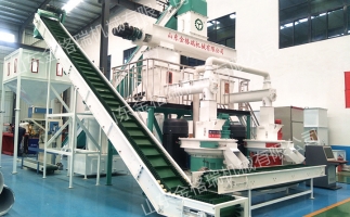 2023年木屑顆粒機(jī)生產(chǎn)生物質(zhì)燃料顆粒行情、利潤(rùn)怎么樣，投資多少大約？