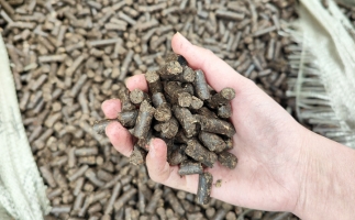 木屑顆粒機(jī)將秸稈變廢為寶，降碳節(jié)能一舉兩得